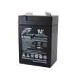 RITAR | RT650 (RT655) 6V Standby/ Fire System/ UPS Battery